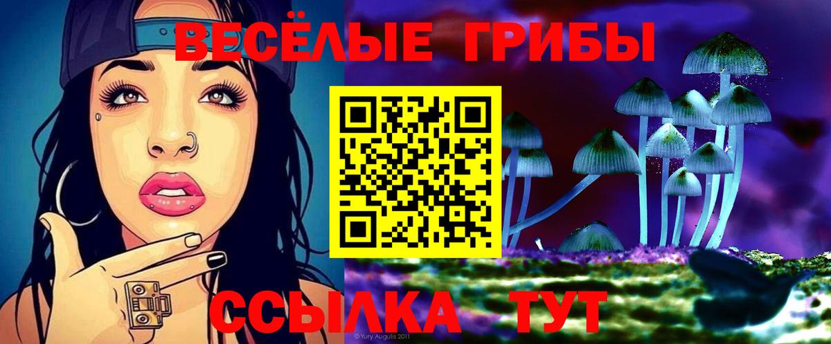 Галлюциногенные грибы Psilocybe Сухой Лог